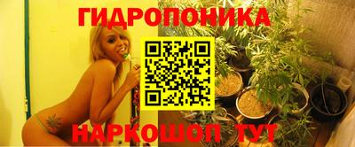 метадон Новозыбков